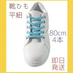 靴紐 靴ひも 平型 平ひも くつひも メンズ レディース 2足分 4本 即日発送