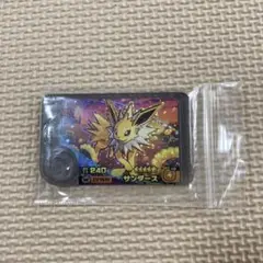 ポケモンフレンダサンダーススーパートレジャーワンダーピック