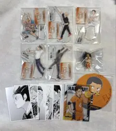 ハイキュー10thクロニクル 烏野高校 アクスタなど グッズ14点