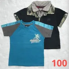 Item thumbnail for item 03d8b8fc-cdb1-40cb-a6e6-bad93e238c40