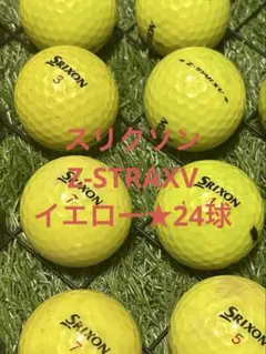 Item thumbnail for item 4781f073-451e-4106-a92b-2b2a83265595