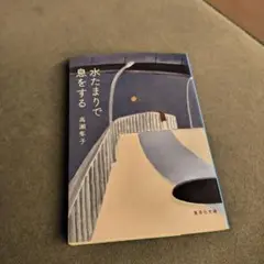 水たまりで息をする 高瀬隼子
