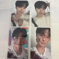 face the sun CARAT盤 ランダム ディノ トレカ コンプ