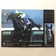 99上 競馬カード、フジキセキ【3点300円】