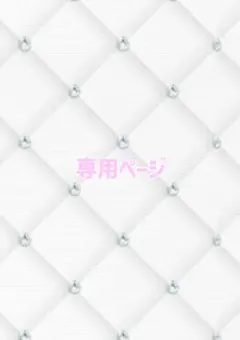 専用ページ