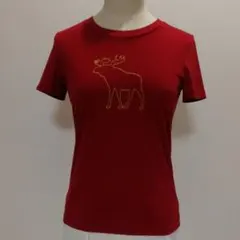 アバクロ　赤　Ｔシャツ　刺繍