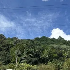 funa fumi様専用