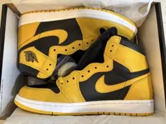 NIKE Air Jordan 1 Retro High OG Pollen27