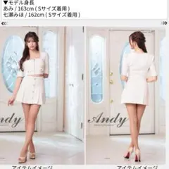 新品未使用 Andy キャバドレス