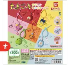 geolandari様 リクエスト 2点 まとめ商品