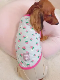犬服 ハンドメイド 夏服 イチゴ柄のサムネイル