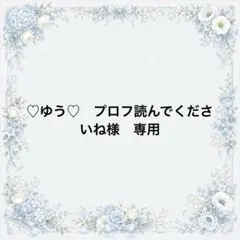 ♡ゆう♡　プロフ読んでくださいね様　専用