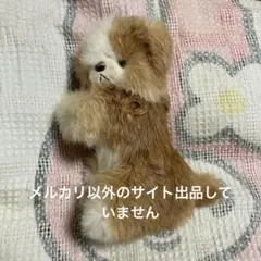 beams japan ご当地招き猫 出雲 ネコ フィギュア 置物 - メルカリ