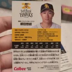 柳田悠岐 トレーディングカード