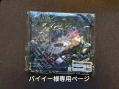 専用ページ
