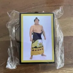 若元春　大相撲ガチャ　明け荷キーホルダー