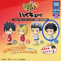 こっちむいてFig. ハイキュー!! 赤葦京治