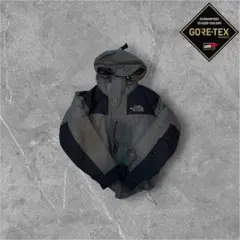 美品　North Face GORE-TEX 90s NP2193 マウンテン