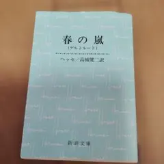春の嵐 ゲルトルート ヘッセ 新潮文庫