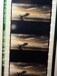 劇場版まどマギ ワルプルギスの廻天 ほむら フィルム
