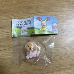 こびとづかん おすわりマスコット　カクレモモジリ