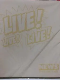 NEWS パンフレット 2010