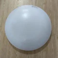 National FMLZ402 シーリングライト