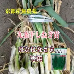 はなはなさま専用