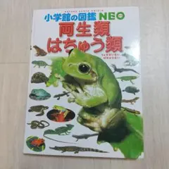 小学館の図鑑 NEO 両生類・はちゅう類