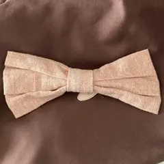 Item thumbnail for item d5a2b2e3-04db-4a8b-bc4b-cbaabd6bb184