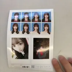 な*の様 seju証明写真 小園井寧々 - メルカリ