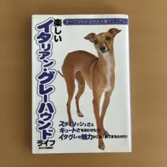 2025年最新】イタリアングレイハウンドの人気アイテム - メルカリ