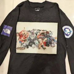 THE NORTH FACEロングスリーブ トランスアンタークティカ ティーのサムネイル
