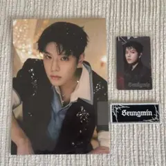 straykids スキズ スンミン hollow フライヤー トレカ ワッペン