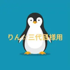 土曜日発送　りん☆三代目様専用です(^^)