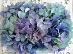 柚子と蜜柑様 リクエスト 2点 まとめ商品