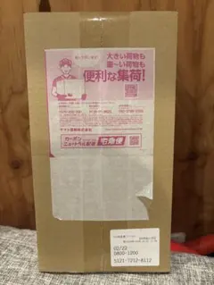 【新品・未開封】ポケモンセンター フクオカ スペシャルボックス