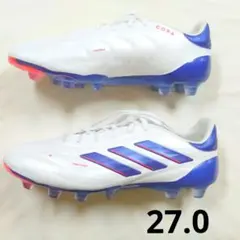 Item thumbnail for item 7566d10d-d675-48f6-8664-3eaba89d8040