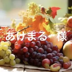 あけまる様 リクエスト 2点 まとめ商品