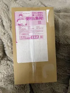 【新品未開封】ポケモンセンター スペシャルBOXヒロシマ