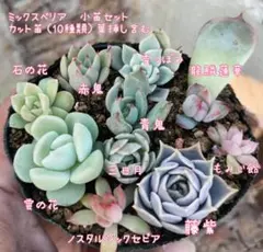 2026年最新】ミックスベリア 青鬼の人気アイテム - メルカリ