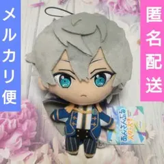 あんさんぶるスターズ!! ぬいぐるみ Knights 瀬名泉 あんスタ