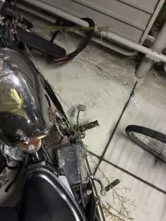 NONさん専用