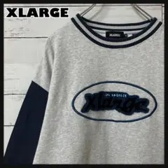 2【即完売】エクストララージ☆レトロクルーネック パイルロゴスウェット887