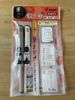 PILOT 筆ペン ブラック 細字・極細各1本 筆文字練習帳付のサムネイル