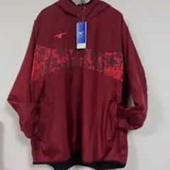 MIZUNO ピステ