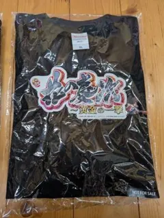 Item thumbnail for item f083d427-3da1-464b-9b21-e5a59d303ab7