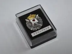 スキー　検定　バッヂ　セット販売 2025年最新】saj検定バッジの人気アイテム - メルカリ