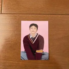 SEVENTEEN HOLIDAY トレカ ウジ