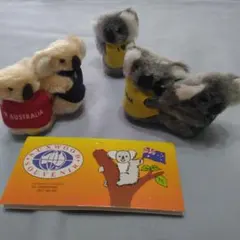 オーストラリア コアラ ぬいぐるみ